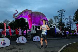 BIB: 
                            <button type="button" onclick="openModal(26529737)" class="btn btn-primary btn-sm float-right btn-popup" data-toggle="modal" data-target=".modal-high-quality">
                        <i class="fas fa-shopping-cart"></i> Add to Cart
                    </button>
                                            <button type="button" onclick="isThisMe(26529737, true)" class="btn btn-success btn-sm float-right btn-popup btn-isme hidden" data-toggle="tooltip" data-placement="bottom" title="นี่คือรูปของคุณใช่ไหม คลิกที่นี่เพื่อเอาเข้าอัลบั้ม">
                        <i class="fas fa-plus"></i> Add to album
                    </button>
                    <button type="button" onclick="isThisMe(26529737, false)" class="btn btn-warning btn-sm float-right btn-popup btn-isnotme hidden">
                        <i class="fas fa-ban"></i> Remove from album
                    </button>